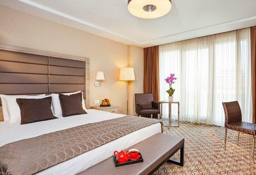 اتاق سوپریور با چشم‌انداز جانبی دریا, Nidya Hotel Galataport