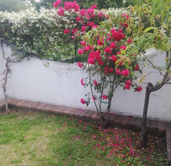 Standard room with outdoor bath, Villaggio Tabu