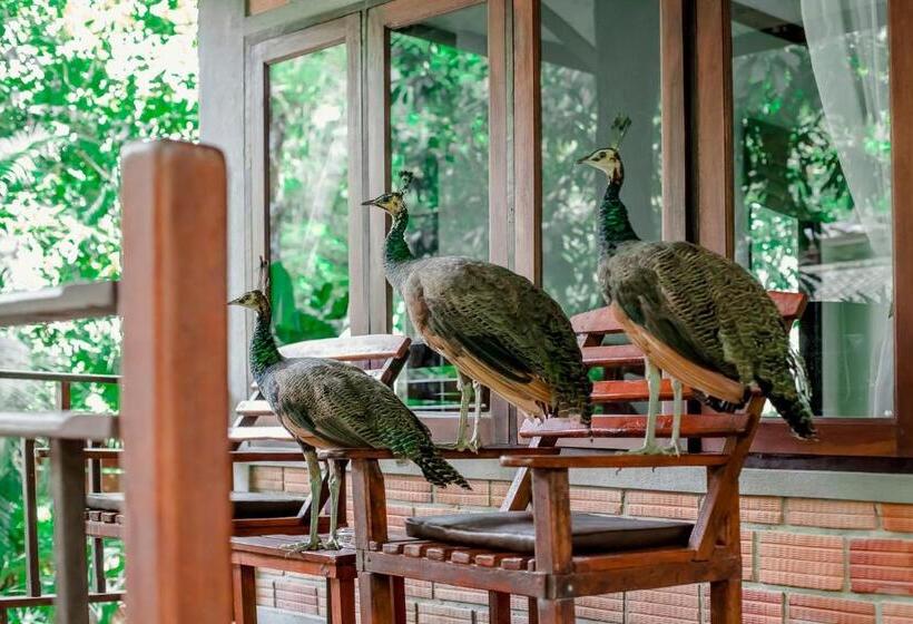 디럭스 룸, The Vatika Resort And Spa