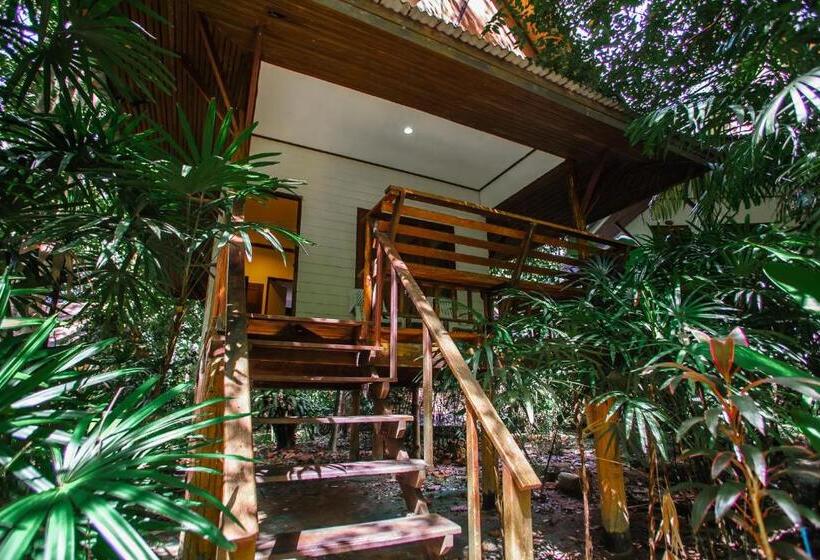 수피리어 방갈로, The Vatika Resort And Spa