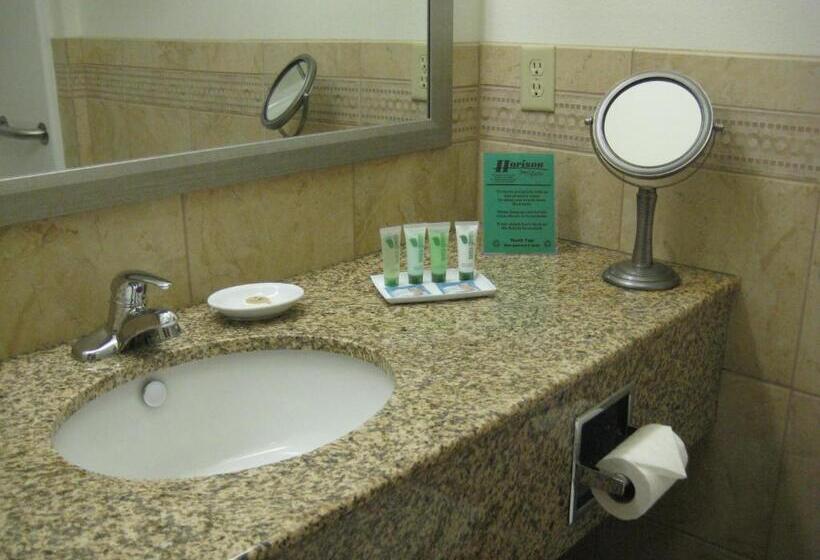 스위트 킹사이즈 침대, Horizon Inn & Suites