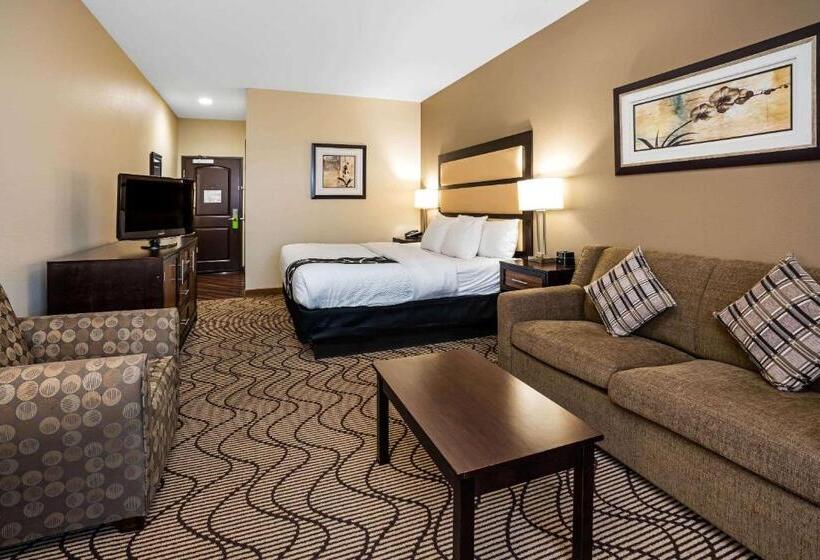 غرفة قياسية سرير كينج, La Quinta By Wyndham Auburn