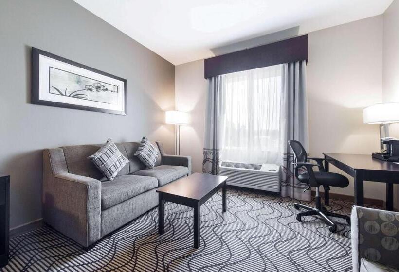 Стандартный Номер Кровать Кинг, La Quinta By Wyndham Auburn