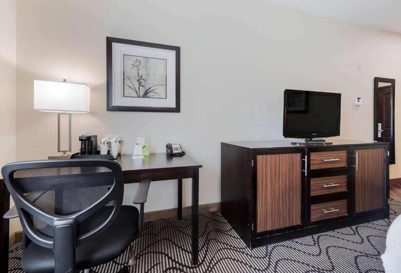 Номер Стандарт Кровать Кинг Адаптированный для Инвалидов, La Quinta By Wyndham Auburn