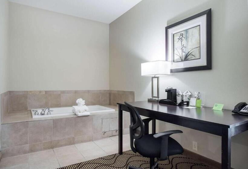 جناح ديلوكس, La Quinta By Wyndham Auburn