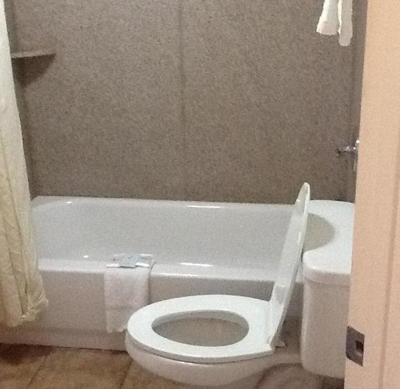 غرفه قياسيه سريرين مزدوجين, Charleston Eagle Inn