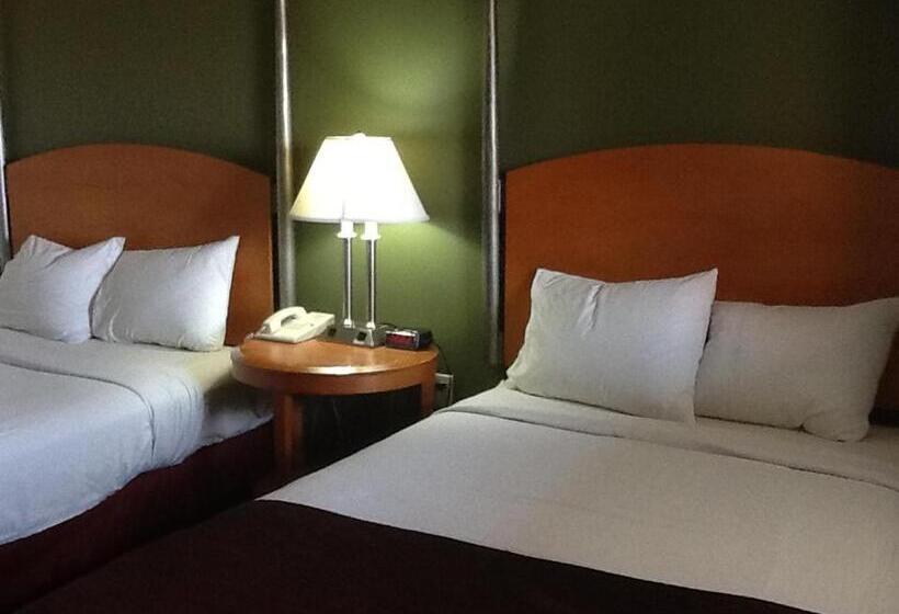 غرفه قياسيه سريرين مزدوجين, Charleston Eagle Inn