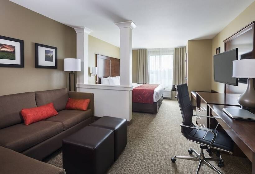 套房, Comfort Suites Medical Center