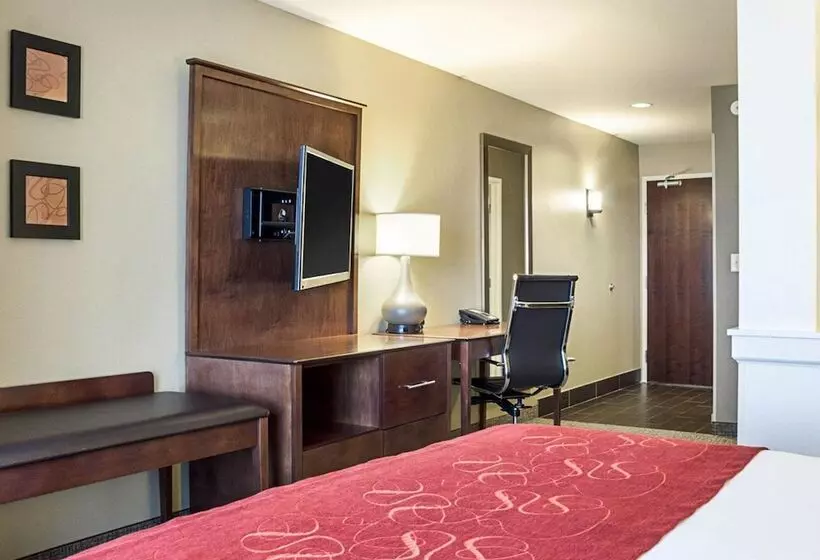 身障者適用スイートルーム, Comfort Suites Medical Center