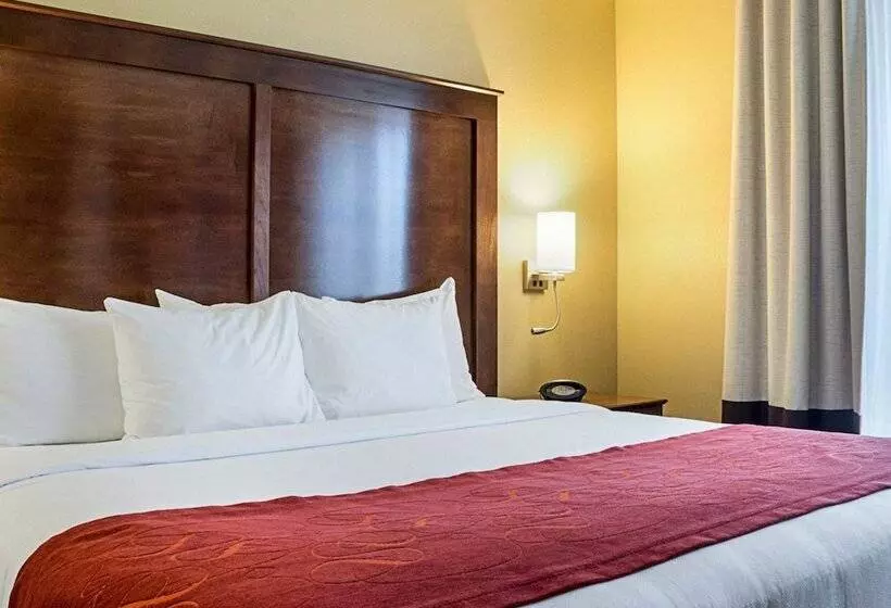 身障者適用スイートルーム, Comfort Suites Medical Center