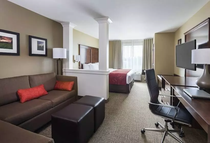 身障者適用スイートルーム, Comfort Suites Medical Center