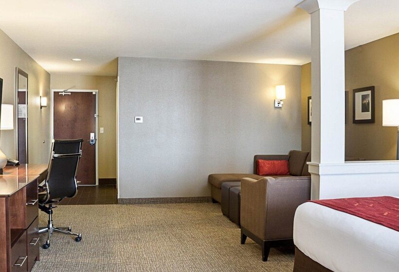 Люкс Адаптированный для Инвалидов, Comfort Suites Medical Center