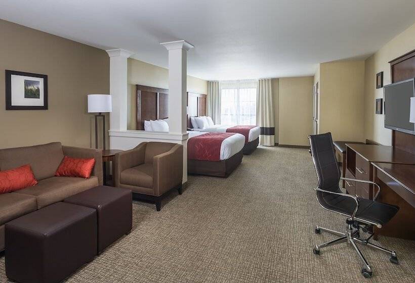 适合残疾人士使用的套间, Comfort Suites Medical Center