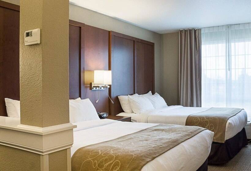 Люкс, Comfort Suites