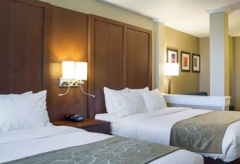 身障者適用スイートルーム, Comfort Suites