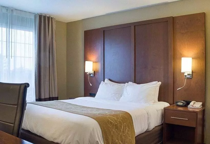 キングサイズベッドのスイートルーム, Comfort Suites