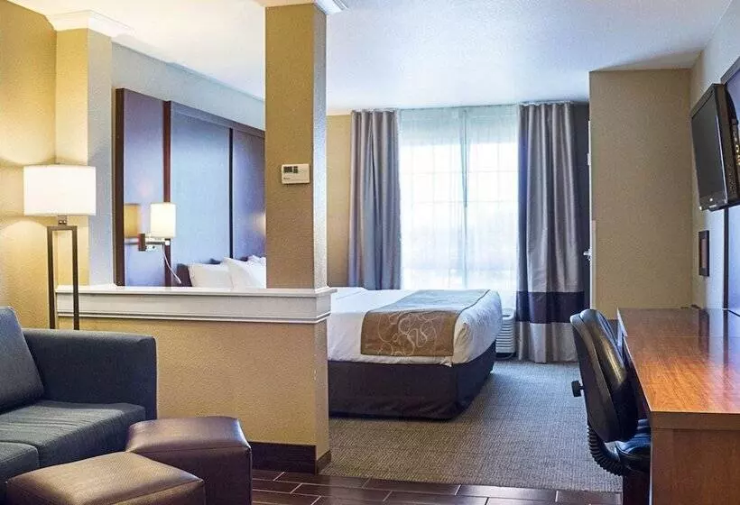 キングサイズベッドのスイートルーム, Comfort Suites