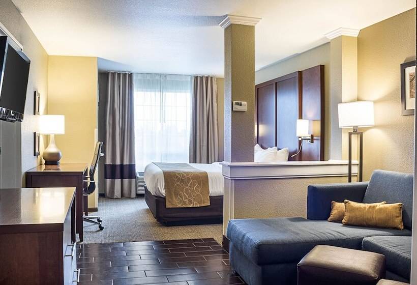 キングサイズベッドのスイートルーム, Comfort Suites