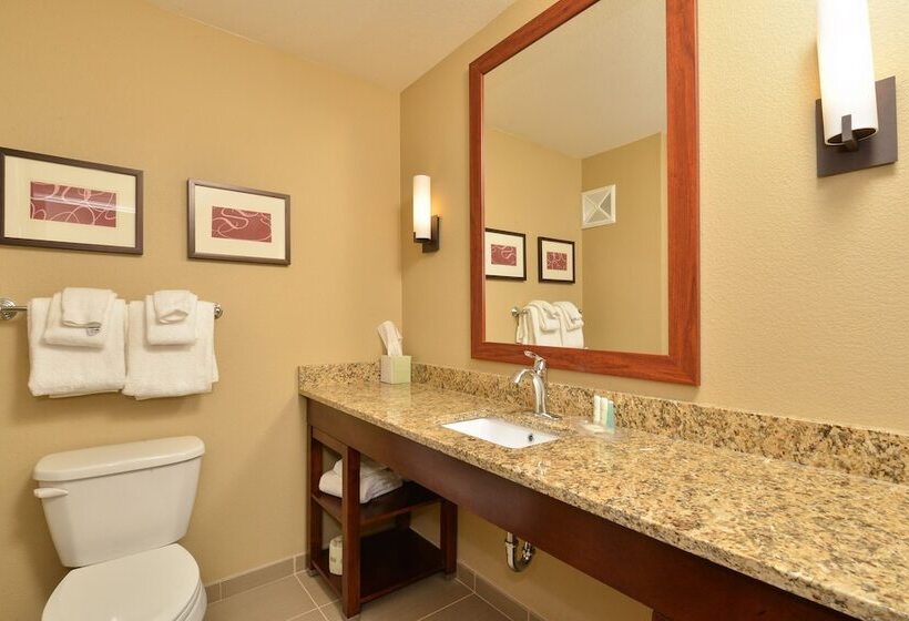 Люкс Адаптированный для Инвалидов, Comfort Suites