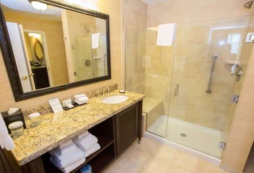 סוויטה מותאמת לאדם עם מוגבלויות, Embassy Suites By Hilton Savannah Historic District