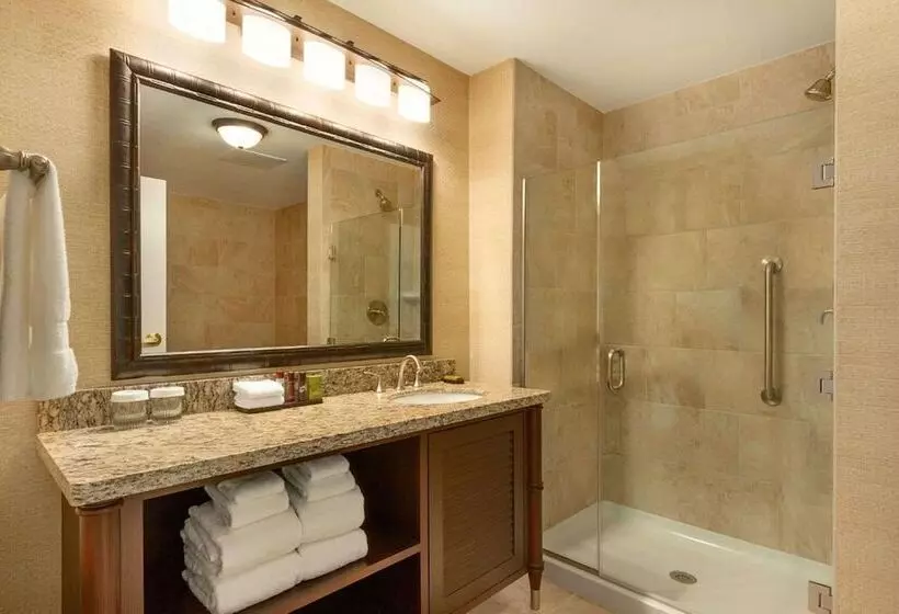 身障者適用スイートルーム, Embassy Suites By Hilton Savannah Historic District