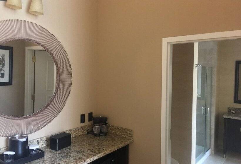 장애인을 위한 스위트, Embassy Suites By Hilton Savannah Historic District