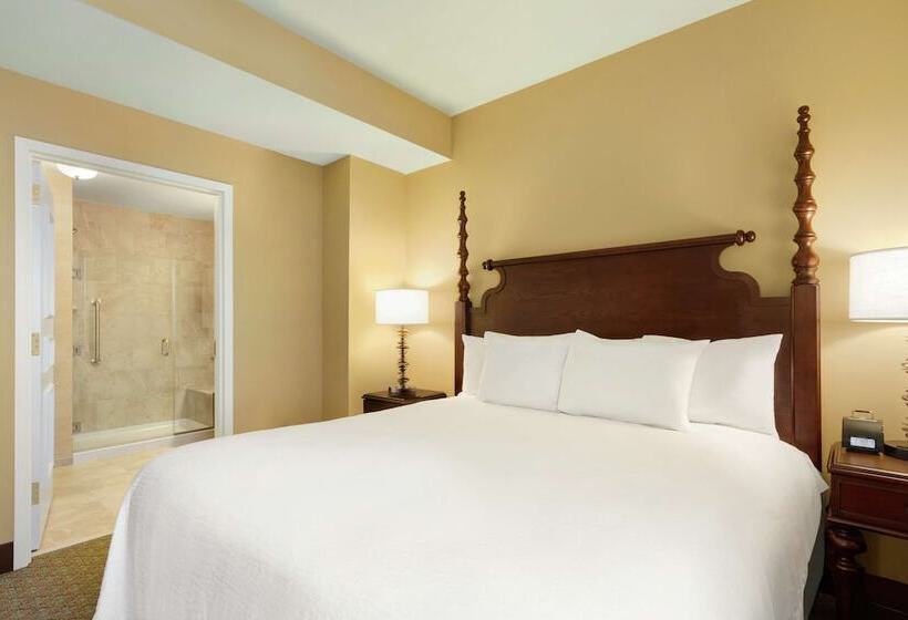 프리미엄 스위트, Embassy Suites By Hilton Savannah Historic District