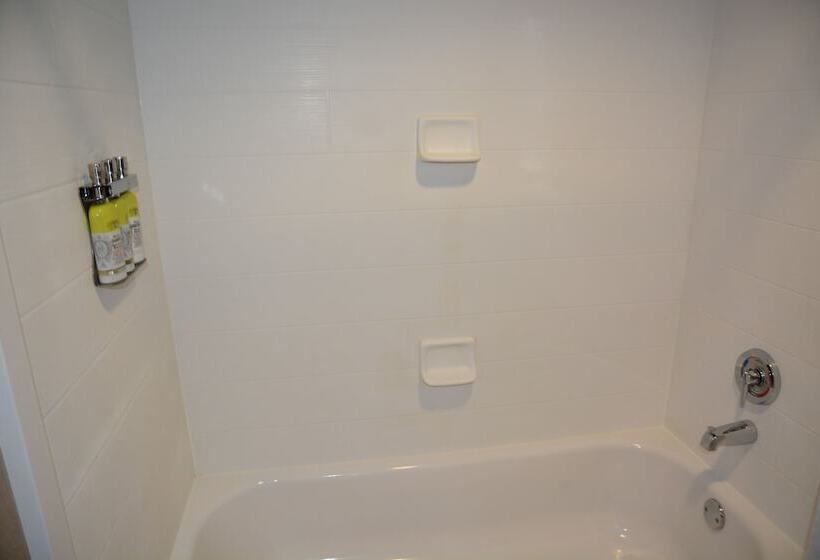 جناح لذوى الاحتياجات الخاصة, Holiday Inn Express & Suites Caryville, An Ihg