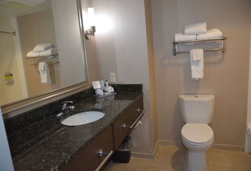 Suíte para Deficientes Físicos, Holiday Inn Express & Suites Caryville, An Ihg