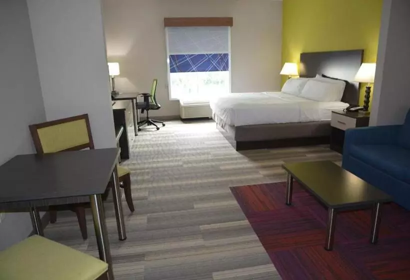 キングサイズベッドのスイートルーム, Holiday Inn Express & Suites Caryville, An Ihg