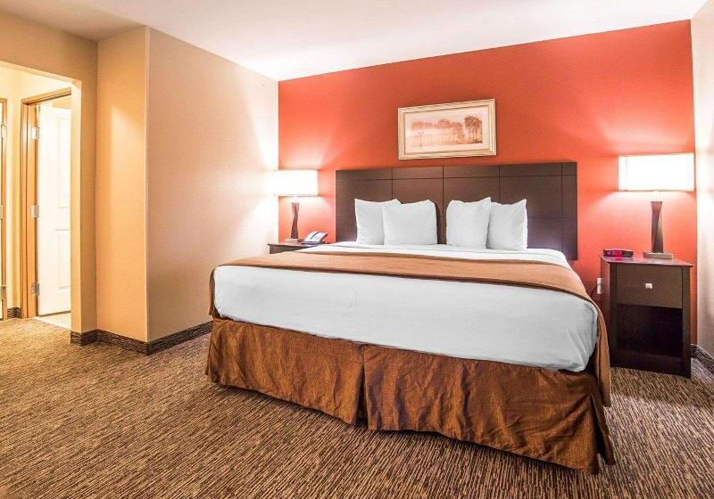 带大床的套房, Mainstay Suites Rapid City
