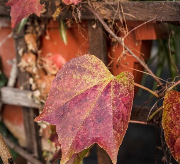 חיבור הדירה עם חדר שינה אחד, Scalinata Di Spagna