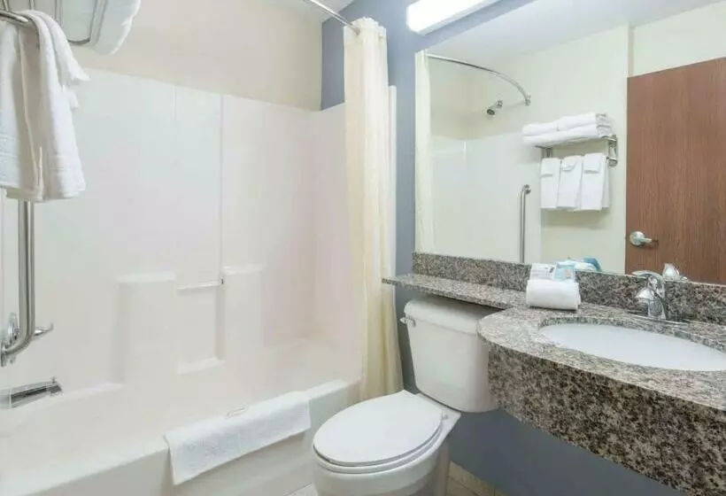 スイート, Microtel Inn & Suites By Wyndham Stanley