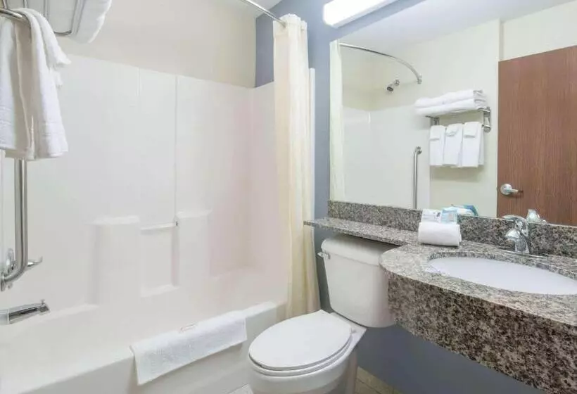 スタンダードルーム, Microtel Inn & Suites By Wyndham Stanley