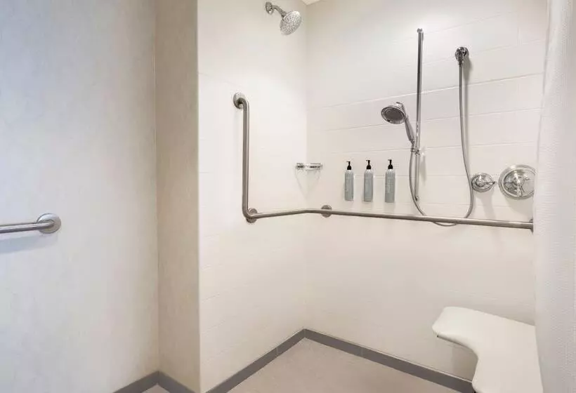 スイート, Residence Inn By Marriott Boston Downtown Seaport