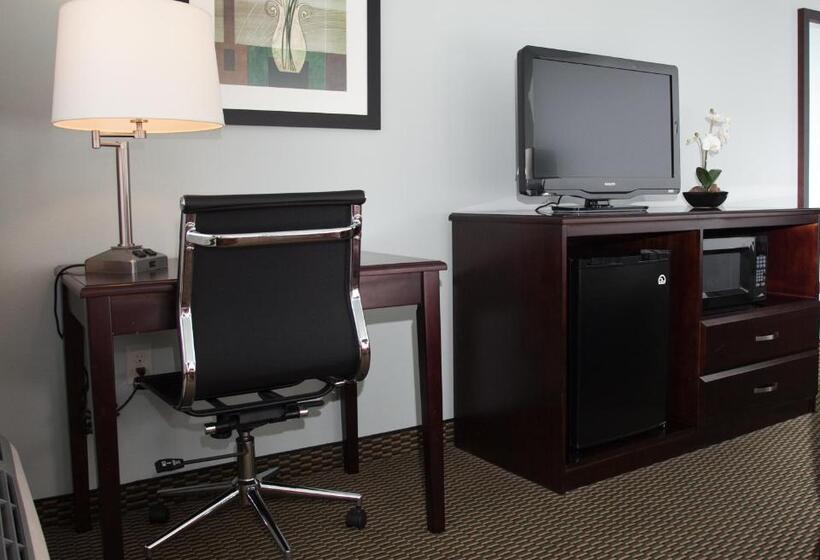 غرفة قياسية سرير كينج, Baymont By Wyndham Rapid City