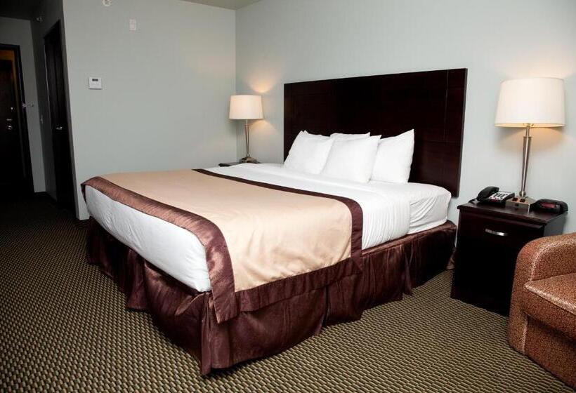 غرفة قياسية سرير كينج, Baymont By Wyndham Rapid City