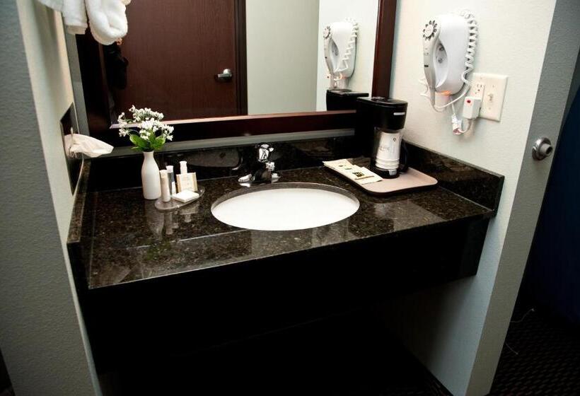 جناح سرير كينج, Baymont By Wyndham Rapid City