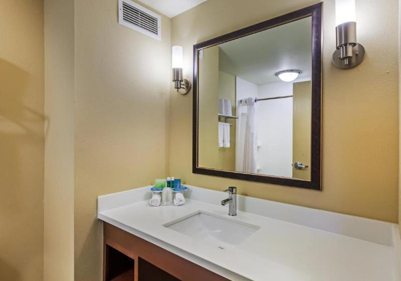 اتاق استاندارد با تخت بزرگ, Courtyard By Marriott Kalamazoo Portage