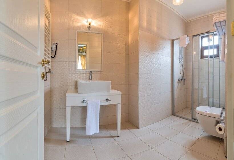 اتاق لوکس, Enderun Hotel Istanbul