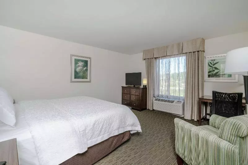 キングサイズベッドのスタンダードルーム, Hampton Inn Huntington University Area