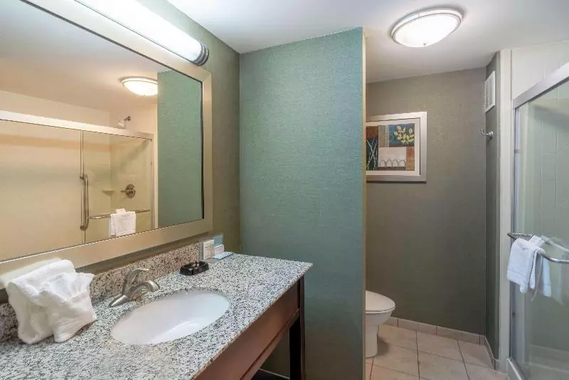 キングサイズベッドのスタンダードルーム, Hampton Inn Huntington University Area
