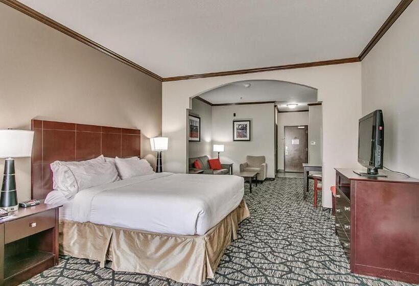 اتاق استاندارد با تخت بزرگ برای معلولان, Holiday Inn Express And Suites Lubbock South, An Ihg