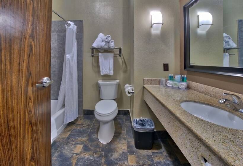 سوییت, Holiday Inn Express And Suites Lubbock South, An Ihg
