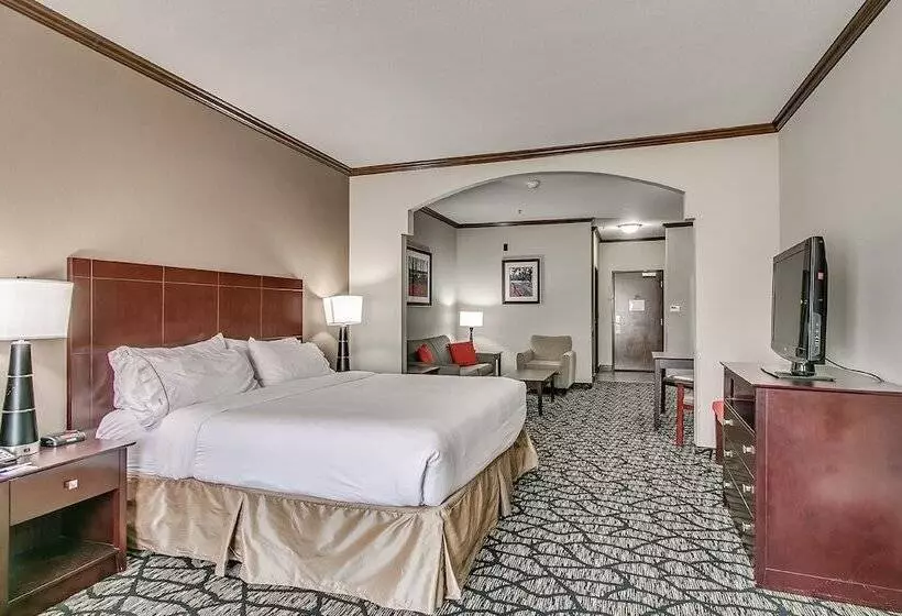 身障者適用スイートルーム, Holiday Inn Express And Suites Lubbock South, An Ihg