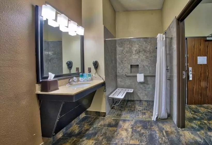 スタンダードルーム, Holiday Inn Express And Suites Lubbock South, An Ihg