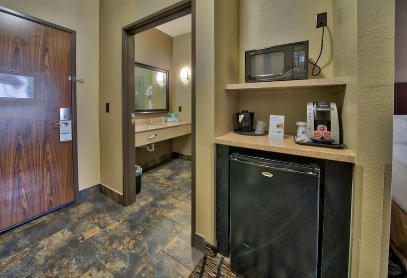 اتاق استاندارد, Holiday Inn Express And Suites Lubbock South, An Ihg