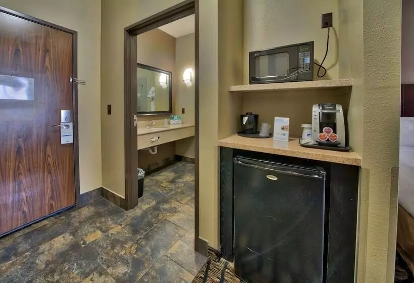 スタンダードルーム, Holiday Inn Express And Suites Lubbock South, An Ihg