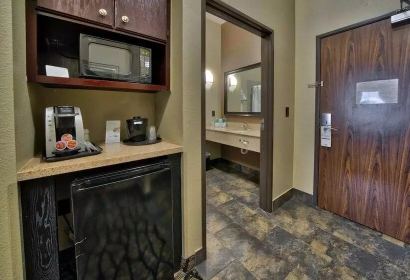 スタンダードルーム, Holiday Inn Express And Suites Lubbock South, An Ihg