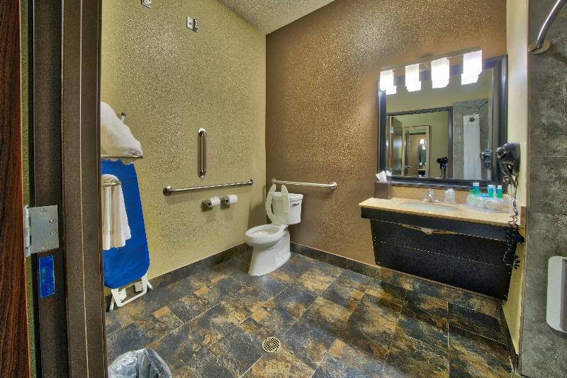 اتاق استاندارد با تخت بزرگ, Holiday Inn Express And Suites Lubbock South, An Ihg